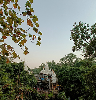 Jatmai, Rajim